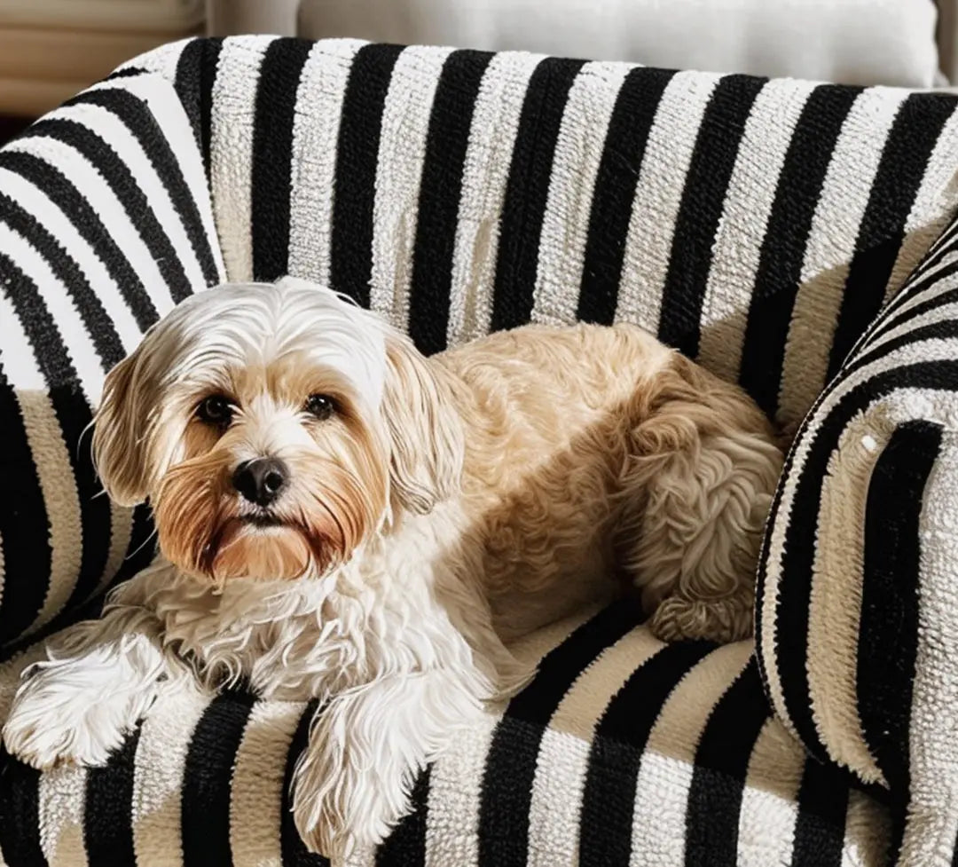 Modern Striped Pet Dog Bed Hunting
