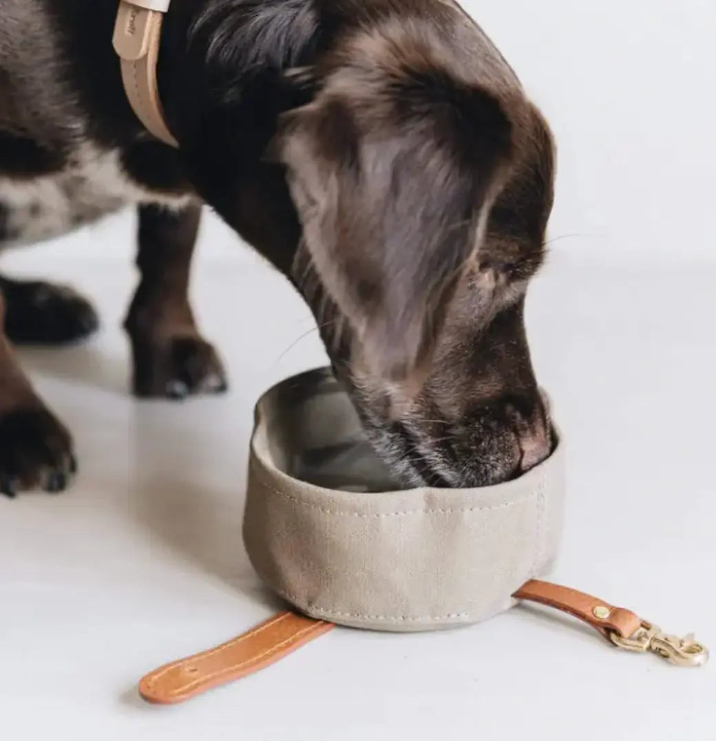 Waterproof Portable Pet Dog Water Bowl Waxed Canvas Pet Feeding Bowl The Little Pooch