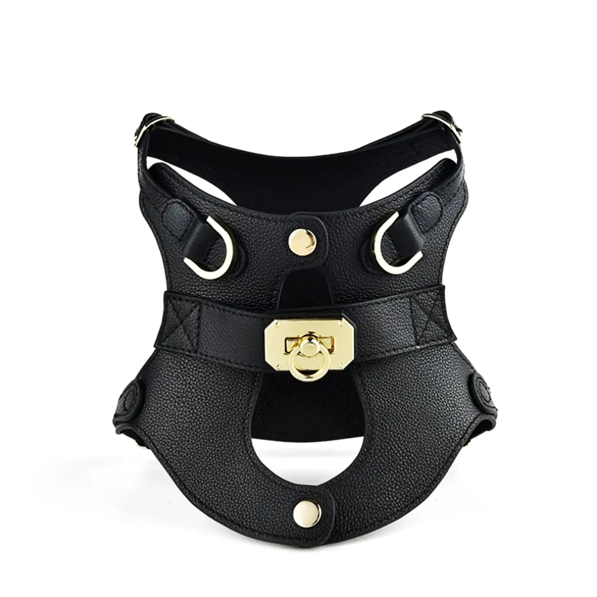 Vanguard Luxe Leather Harness The Little Pooch