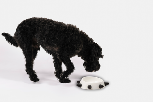 Spiked Dog Bowl – Non-Slip, Durable, Stylish Eco-friendly inclined bowl for dogs - Made in Italy